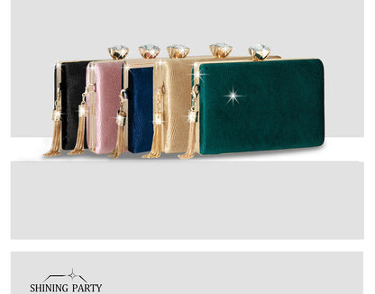 Luxury Clutch Bag